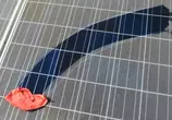 Solarreinigung