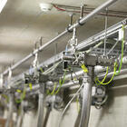 Schutzpotenzialausgleich